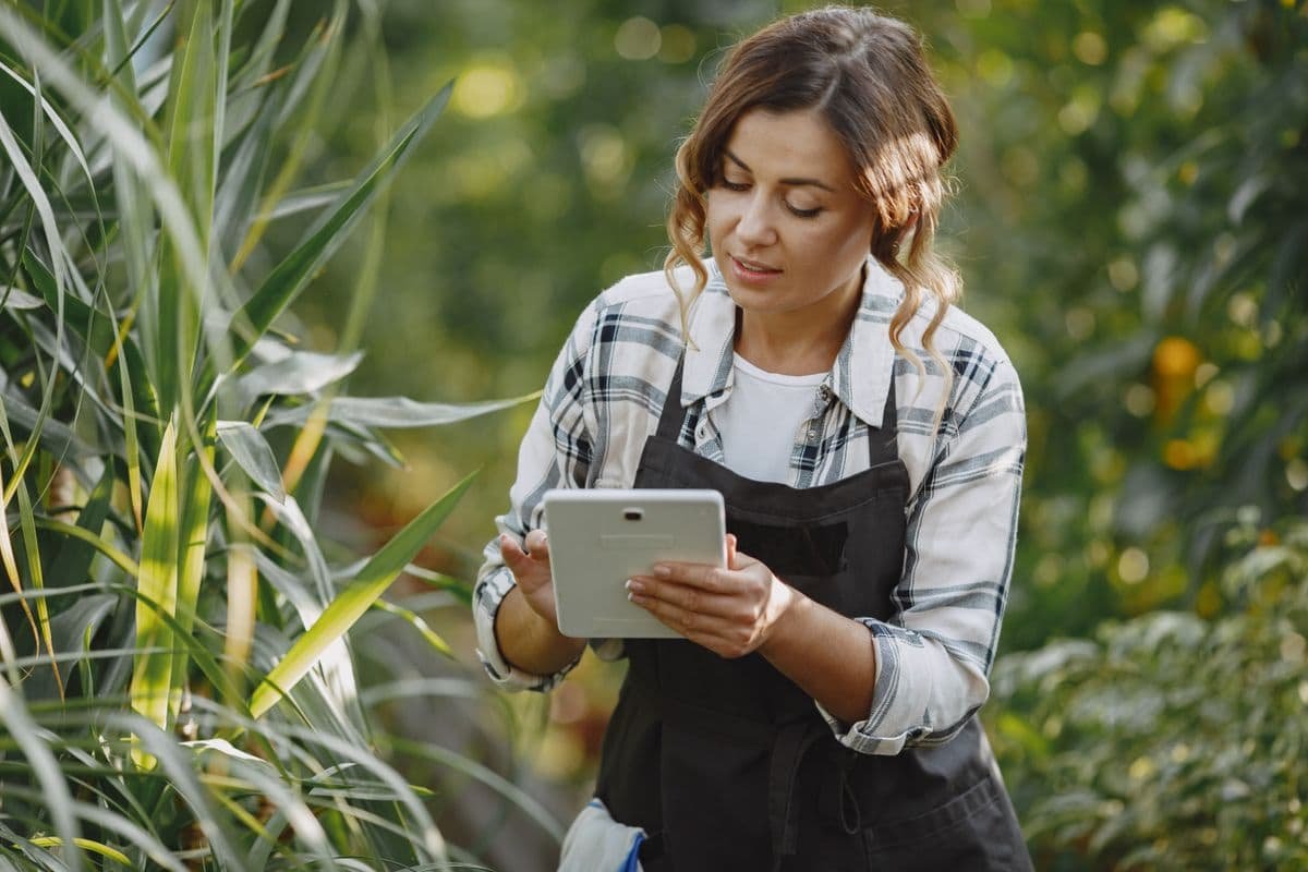 Grower managing plants with a tablet in a greenhouse